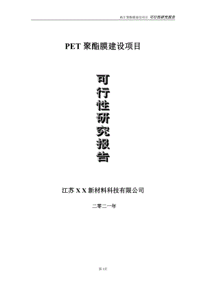 PET聚酯膜项目可行性研究报告-立项方案.doc