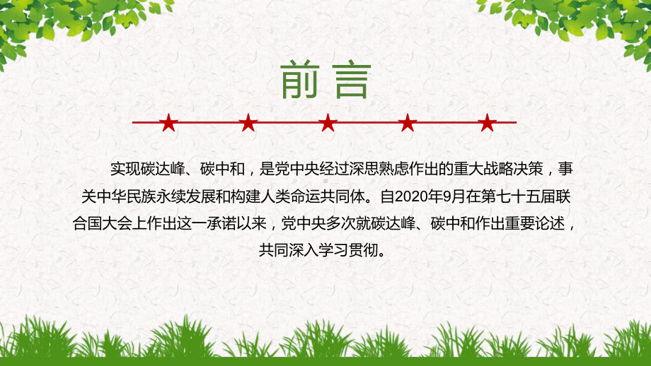 碳达峰碳中和学习贯彻关于双碳理论的重要论述PPT模板下载.pptx_第2页