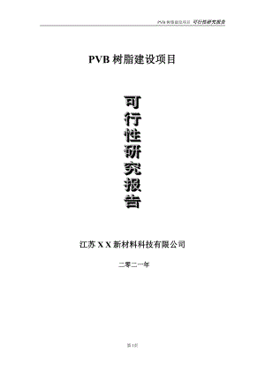 PVB树脂项目可行性研究报告-立项方案.doc