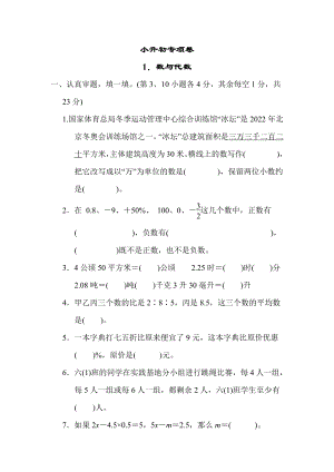 北师大版数学六年级下册-小升初专项卷1．数与代数.docx