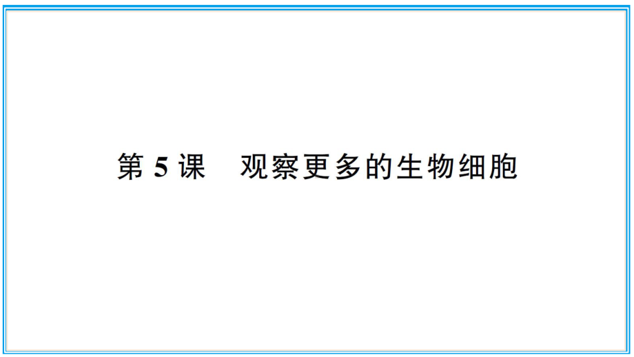 小学科学教科版六年级上册第一单元第5课《观察更多的生物细胞》作业课件（2021新版）.ppt_第1页