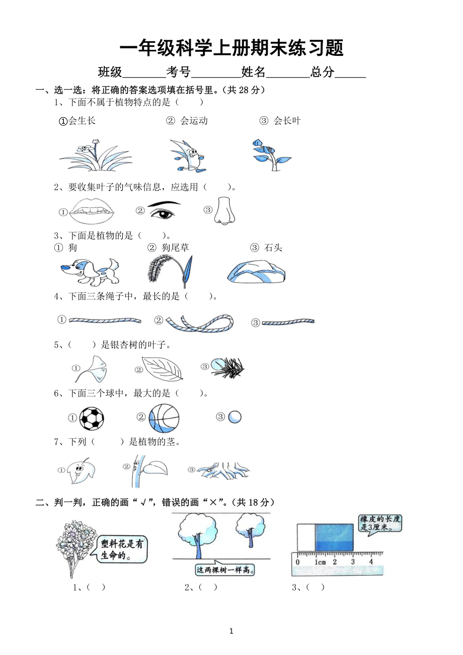 小学科学教科版一年级上册期末练习题（附参考答案）（附参考答案）.docx_第1页