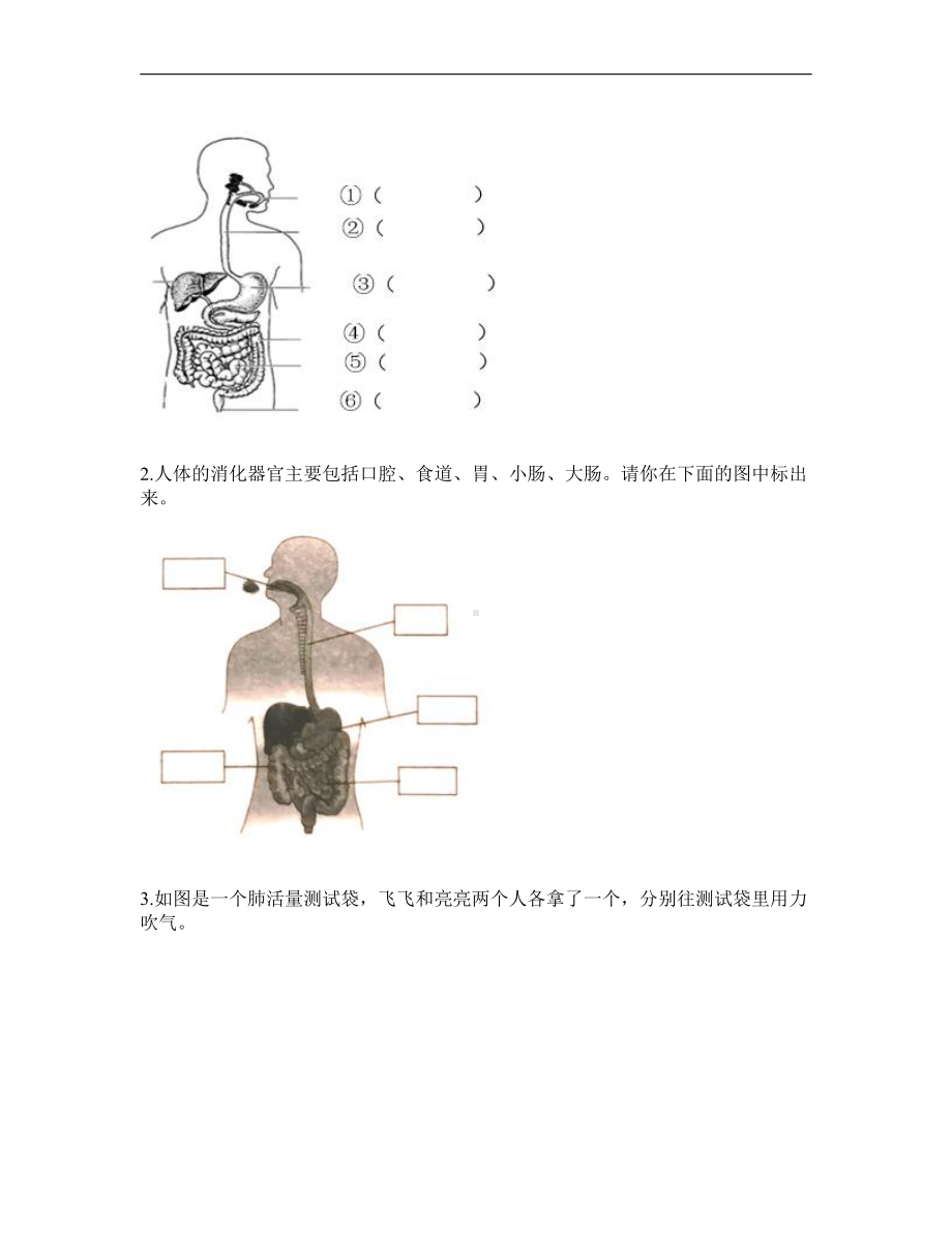 2021新四年级上册科学第二单元呼吸和消化单元测试卷（含答案）.doc_第3页