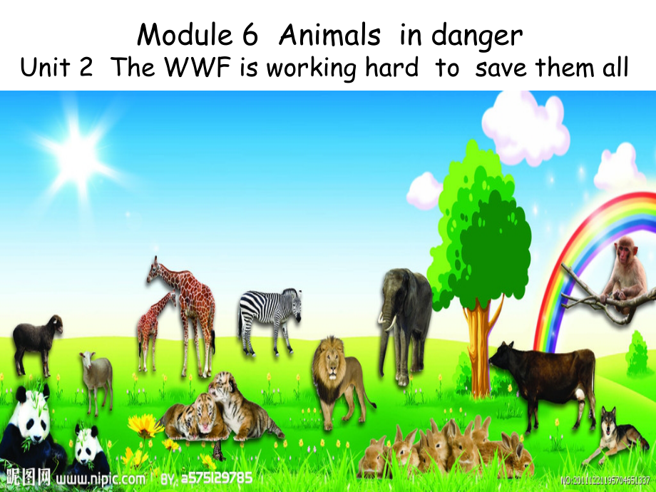 Module 6 Animals in danger-Unit 3 Language in use-ppt课件-(含教案)-省级公开课-外研版八年级上册英语(编号：910f3).zip