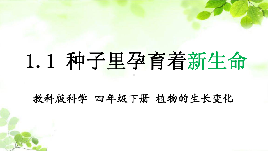2021新教科版四年级下册科学1.1种子里孕育着新生命 ppt课件.pptx_第1页
