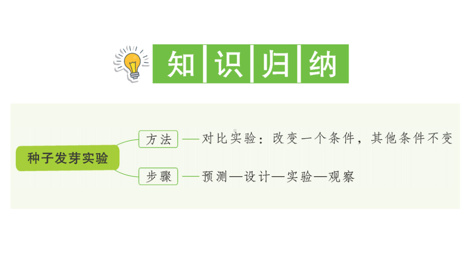 2022新教科版五年级下册科学1.1 种子发芽实验ppt课件（知识点与练习）.ppt_第2页