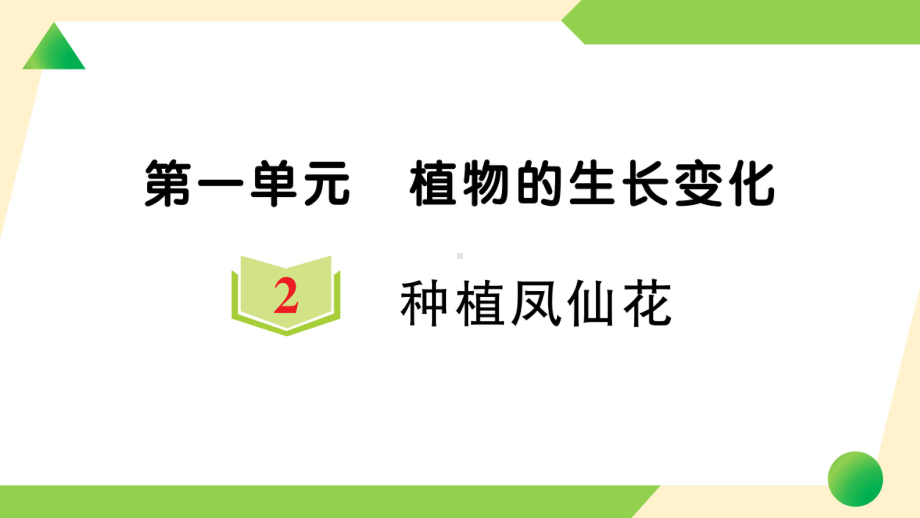 2021新教科版四年级下册科学1.2 种植凤仙花ppt课件.ppt_第1页