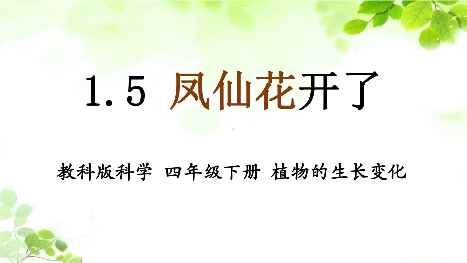 2021新教科版四年级下册科学1.5凤仙花开花了 ppt课件.pptx_第1页