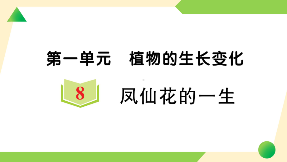 2021新教科版四年级下册科学1.8 凤仙花的一生ppt课件.ppt_第1页