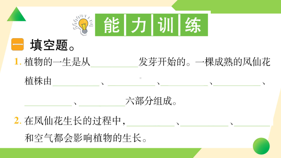 2021新教科版四年级下册科学1.8 凤仙花的一生ppt课件.ppt_第3页