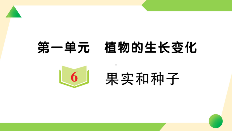 2021新教科版四年级下册科学1.6 果实和种子ppt课件.ppt_第1页