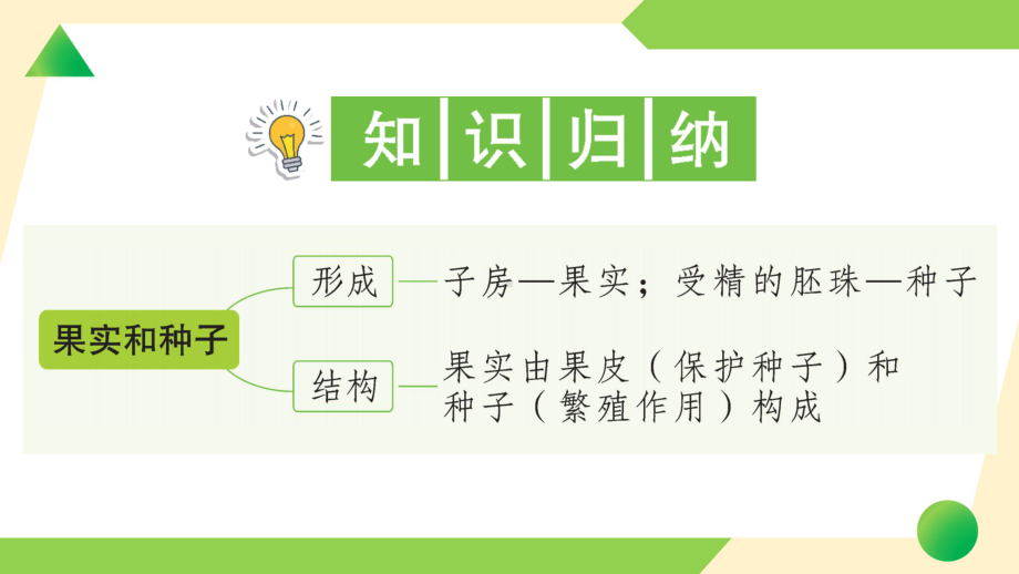 2021新教科版四年级下册科学1.6 果实和种子ppt课件.ppt_第2页