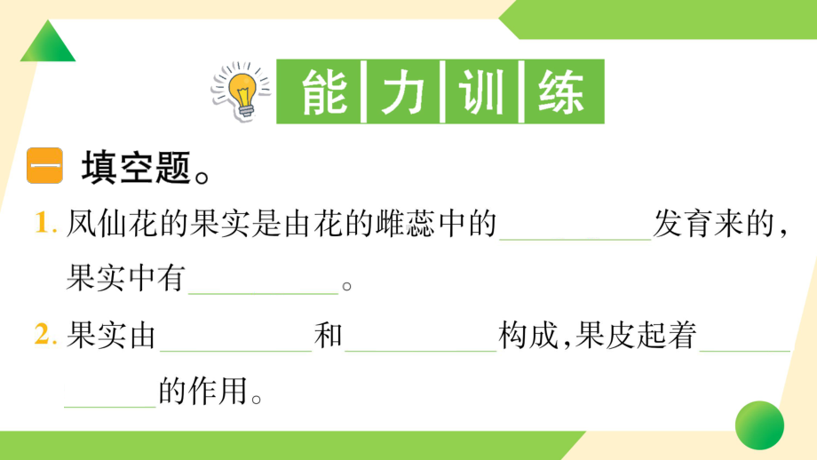 2021新教科版四年级下册科学1.6 果实和种子ppt课件.ppt_第3页