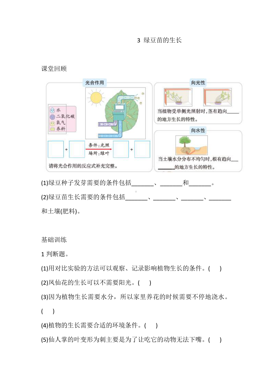 2022新教科版五年级下册科学4.1.3 绿豆苗的生长 巩固练习（含答案）.doc_第1页