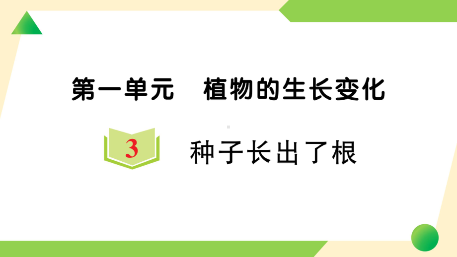 2021新教科版四年级下册科学1.3 种子张出了根ppt课件.ppt_第1页