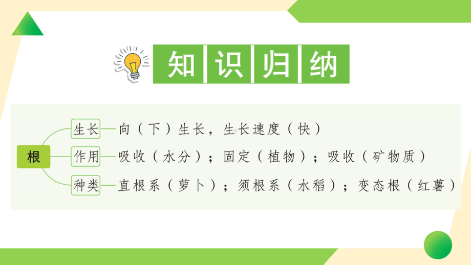 2021新教科版四年级下册科学1.3 种子张出了根ppt课件.ppt_第2页