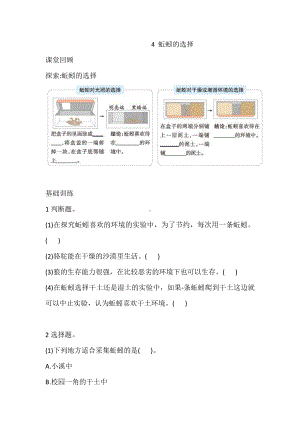 2022新教科版五年级下册科学4.1.4 蚯蚓的选择 巩固练习（含答案）.doc