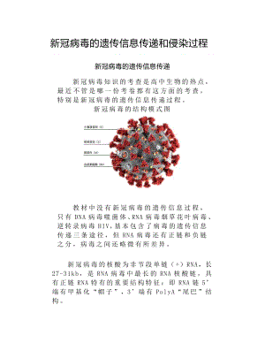 （2019新教材）人教版高中生物必修2素材：新冠病毒的遗传信息传递和侵染过程.docx