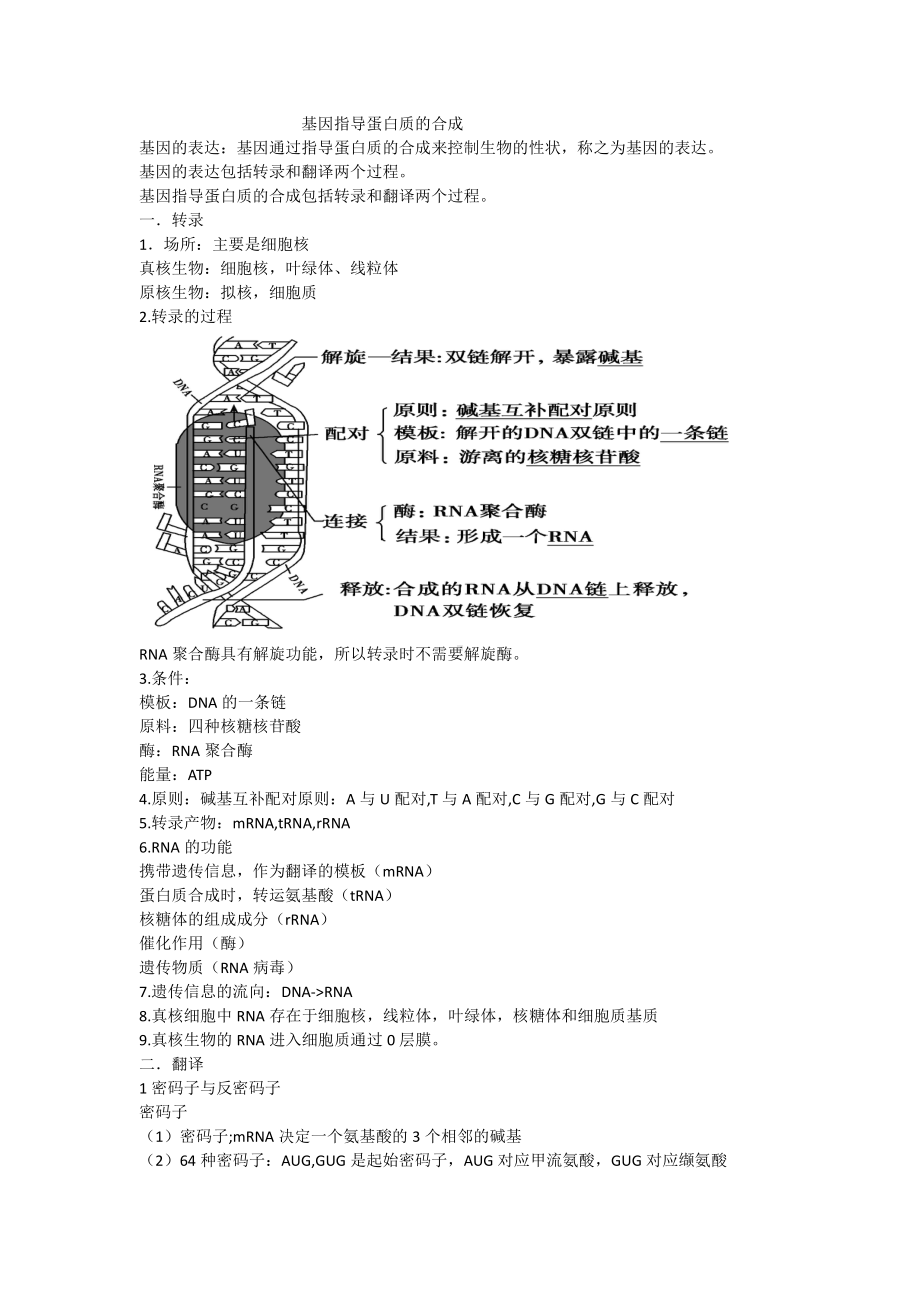 （2019新教材）人教版高中生物必修24.1基因指导蛋白质的合成知识点整理.doc_第1页