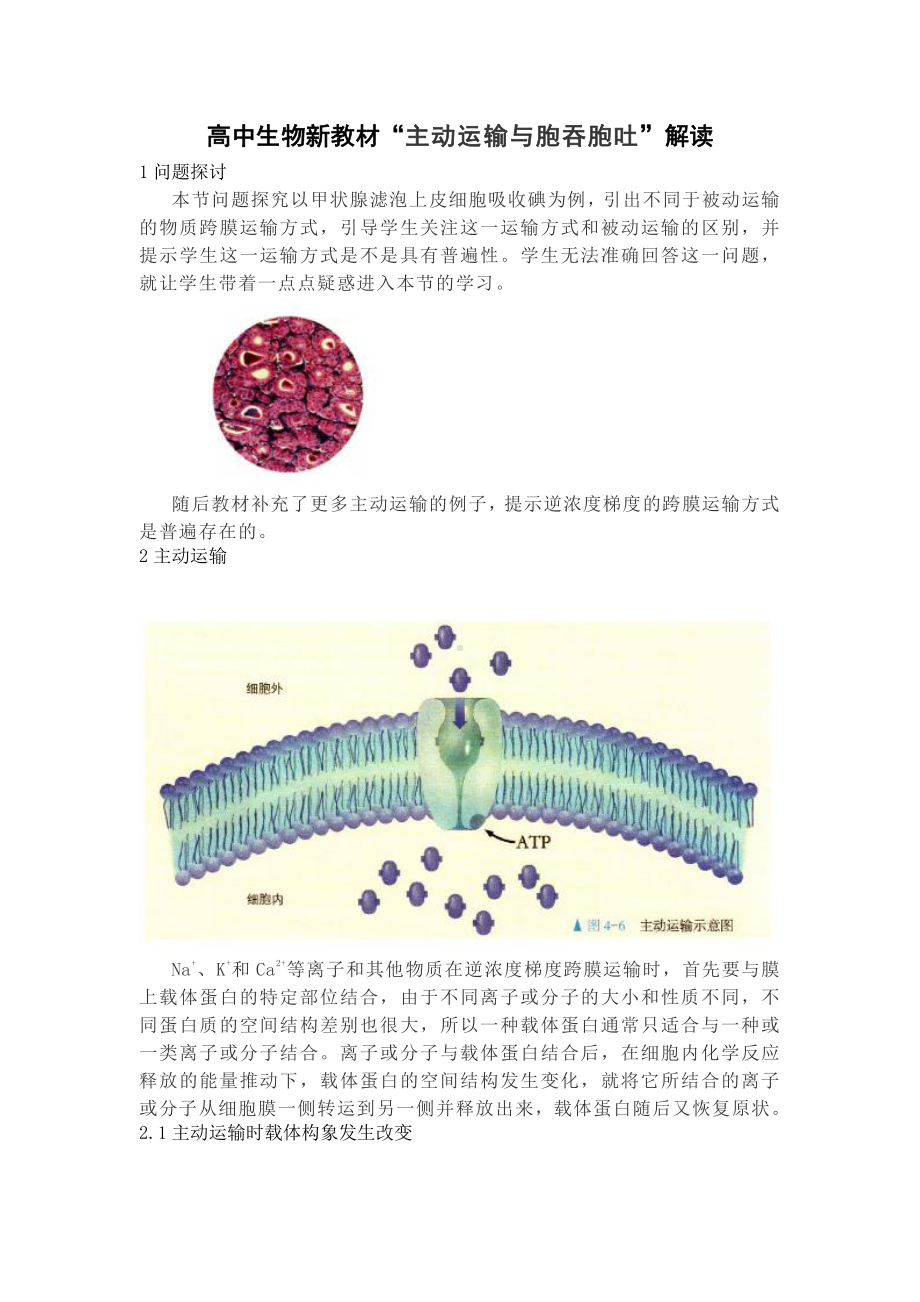 （2019新教材）人教版高中生物必修1“主动运输与胞吞胞吐”解读.doc_第1页