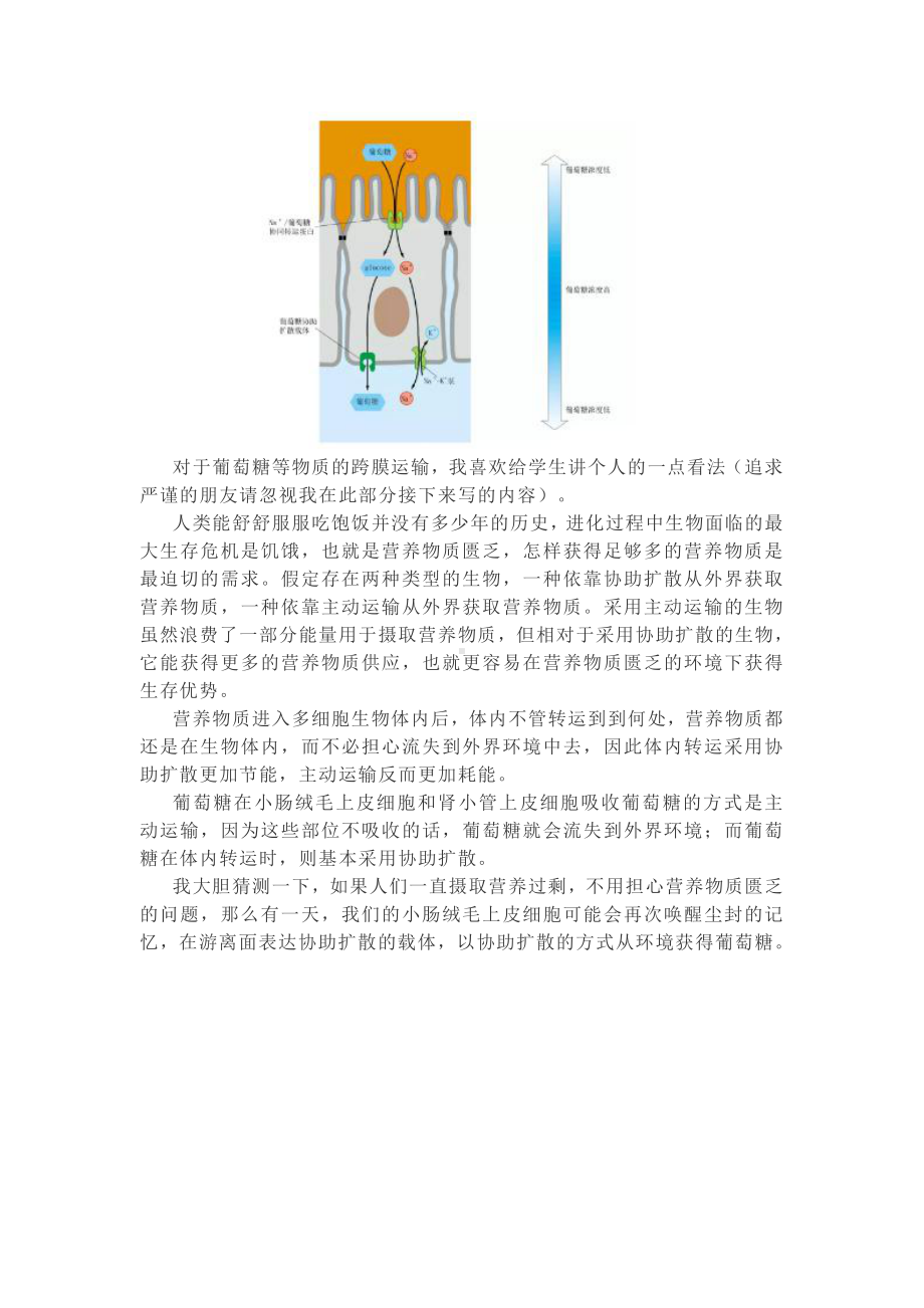 （2019新教材）人教版高中生物必修1“主动运输与胞吞胞吐”解读.doc_第3页