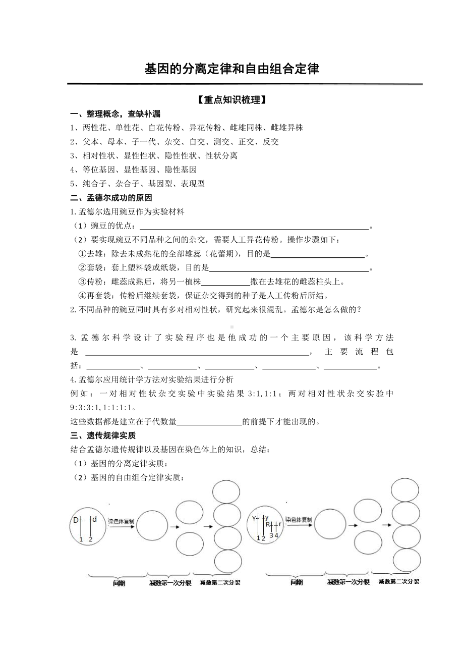 （2019新教材）人教版高中生物必修2+基因分离定律和自由组合定律知识梳理.docx_第1页