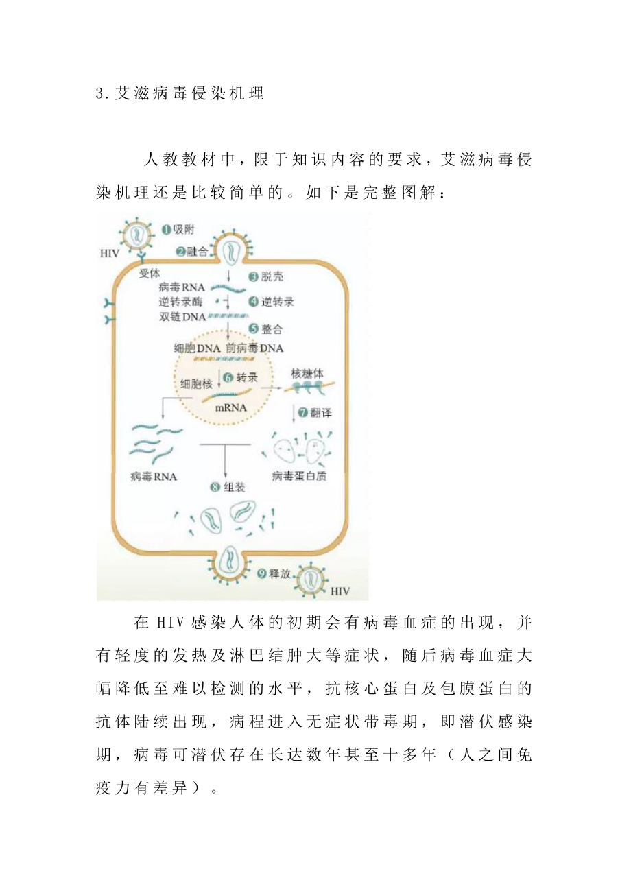 （新教材）2019人教版高中生物选择性必修1素材：艾滋病病毒的结构和感染机理.docx_第3页