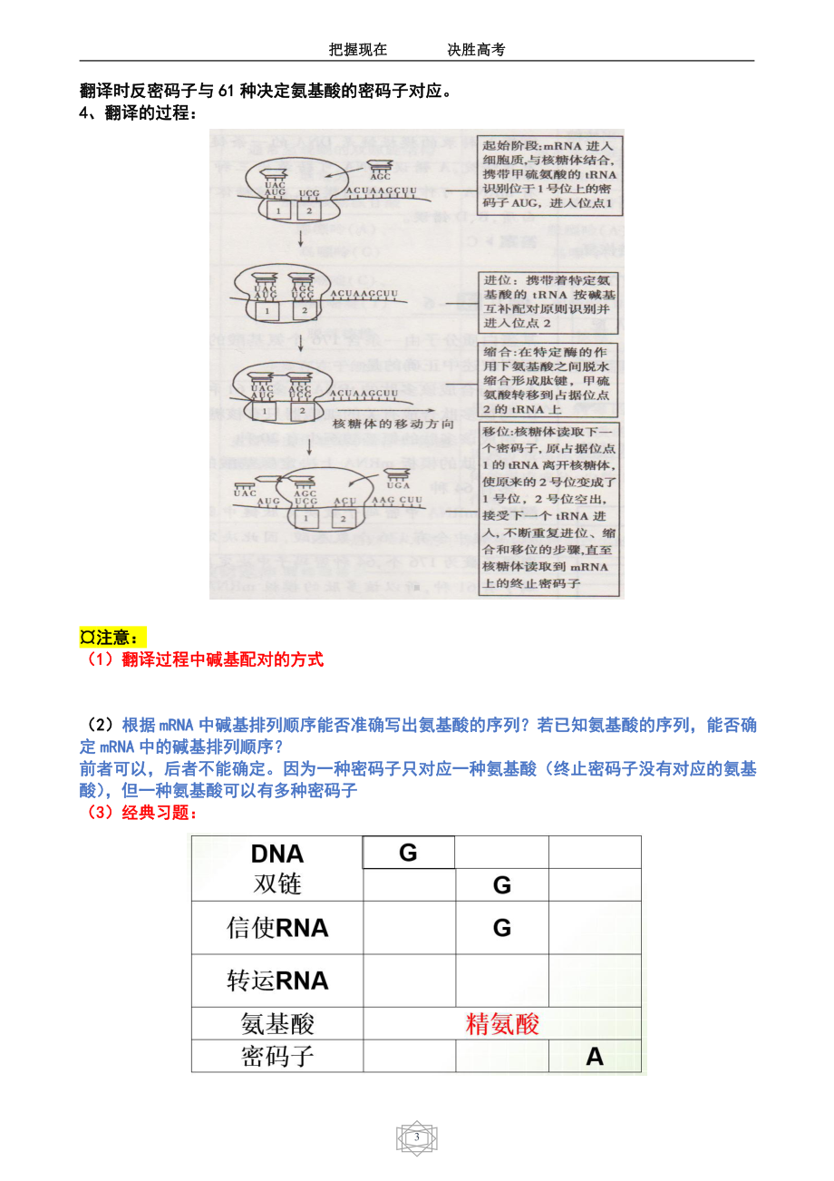 （2019新教材）人教版高中生物必修2第四章基因的表达笔记.doc_第3页