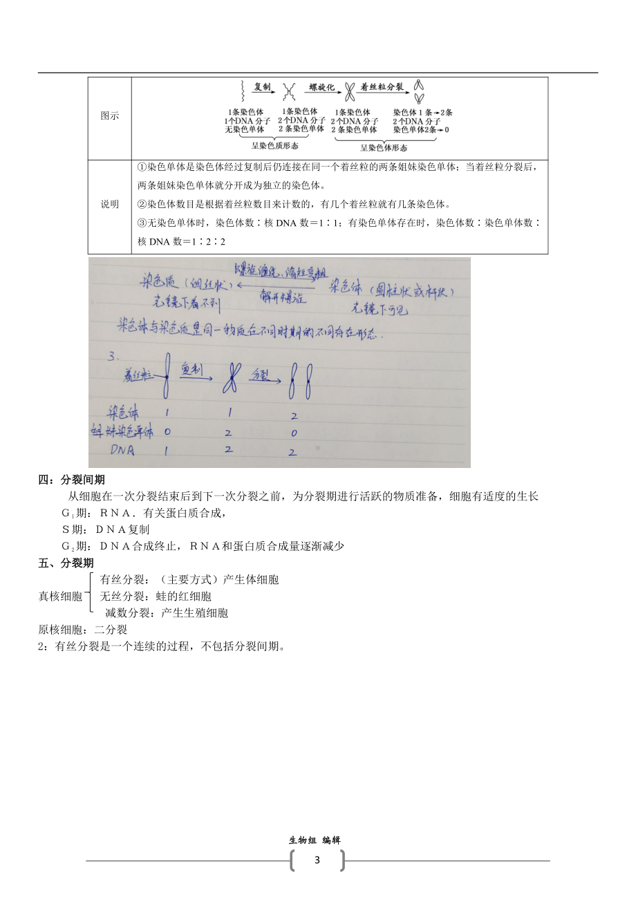 （2019新教材）人教版高中生物必修1第六章细胞的生命历程知识总结.docx_第3页