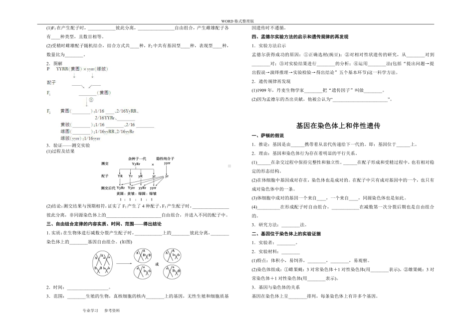 （2019新教材）人教版高中生物必修2 遗传与进化-知识点填空.doc_第2页