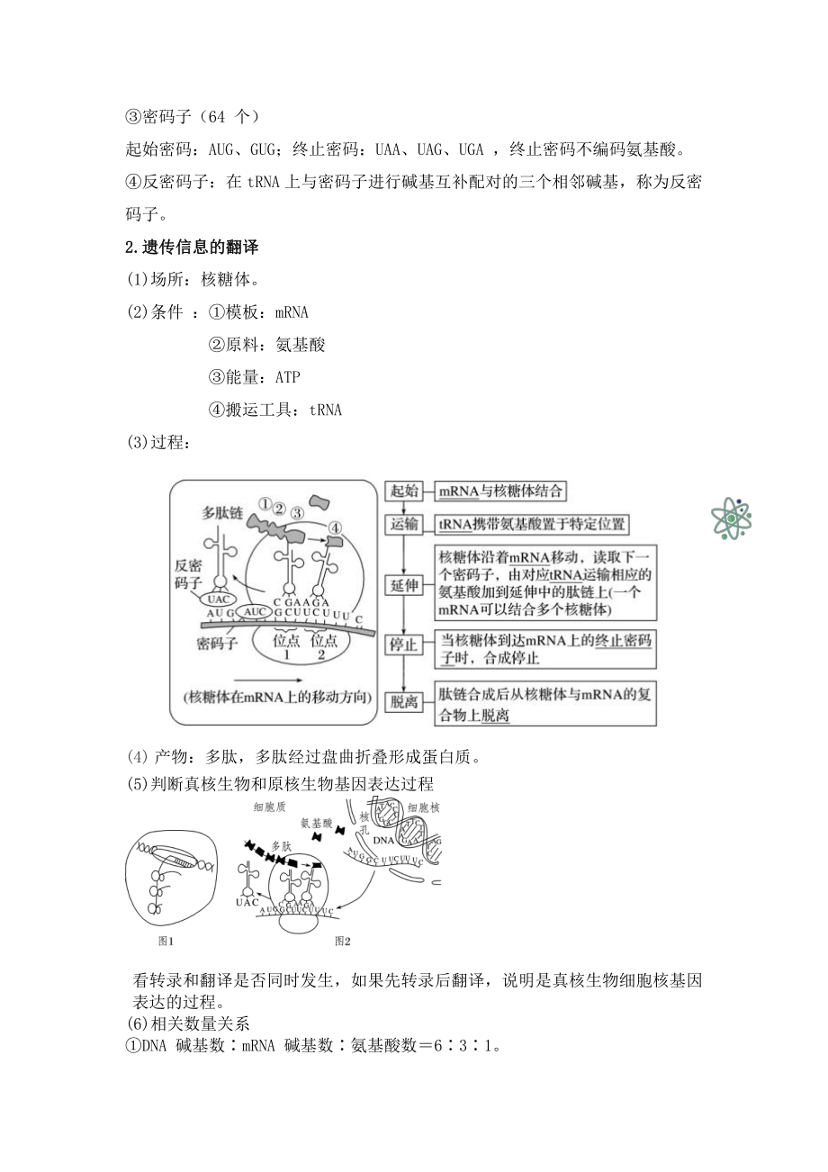 （2019新教材）人教版高中生物必修2第四章基因的表达汇总.doc_第3页