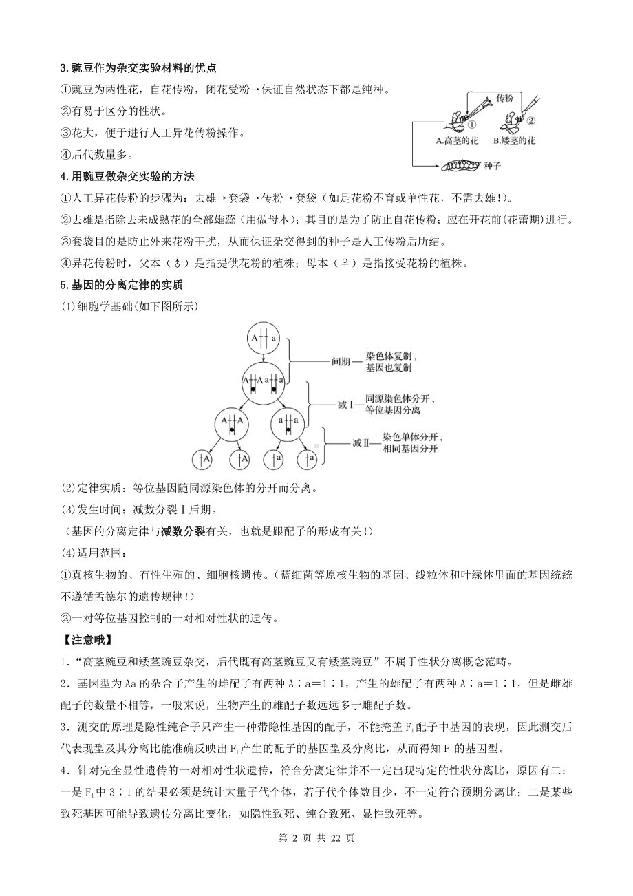 （2019新教材）人教版高中生物必修2基础知识.docx_第2页