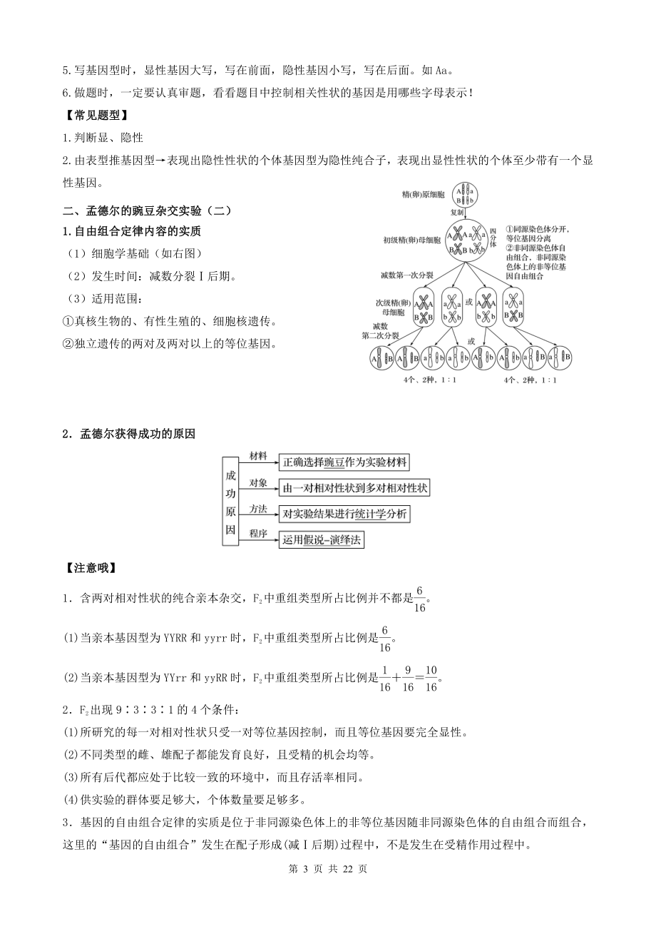 （2019新教材）人教版高中生物必修2基础知识.docx_第3页