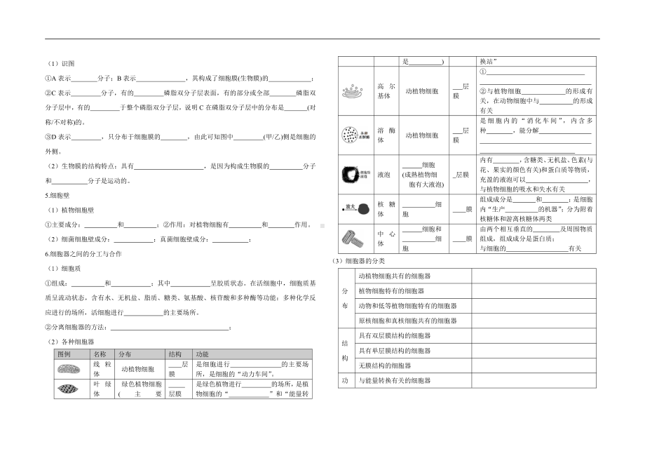 （2019新教材）人教版高中生物必修1必修1 基础知识填空（五）.docx_第2页