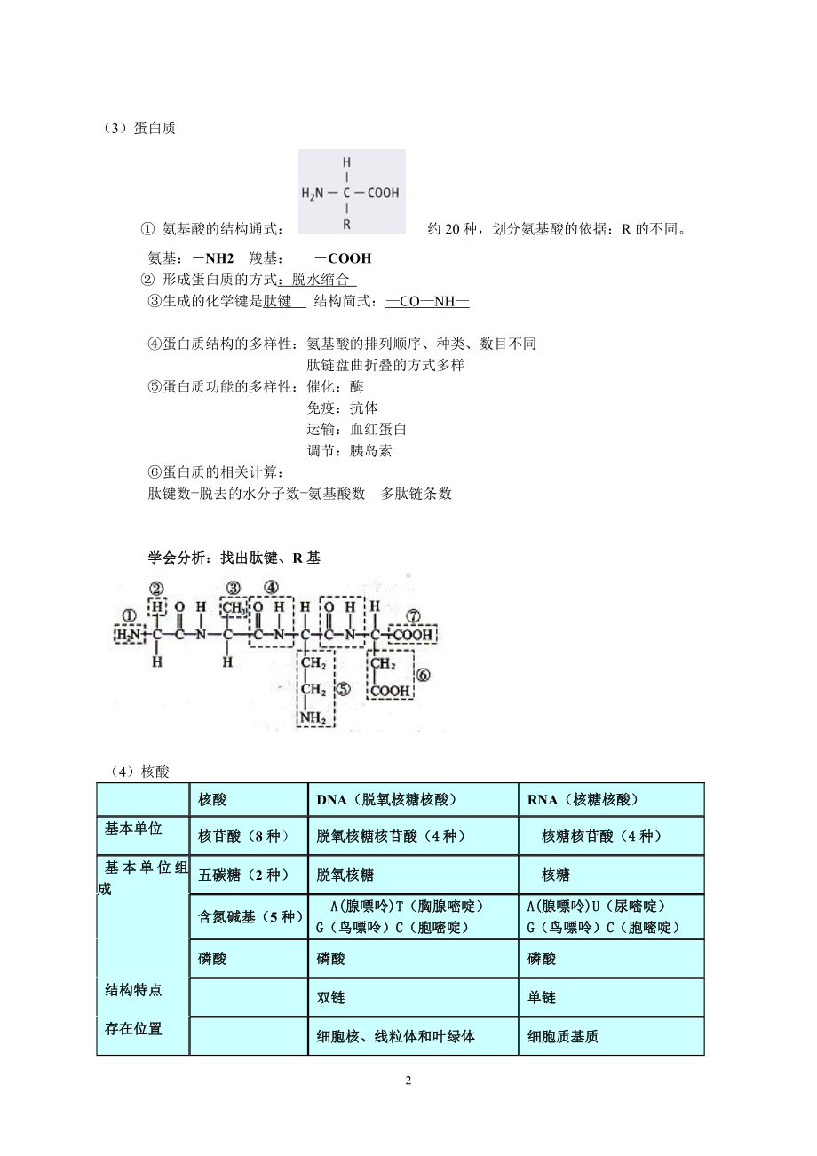 （2019新教材）人教版高中生物必修1知识点整理 (2).doc_第2页