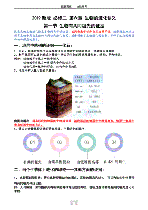 （2019新教材）人教版高中生物必修2第六章 生物的进化超详细笔记（彩色）.doc