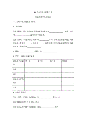 （2019新教材）人教版高中生物必修15.4光合作用与能量转化知识点填空.docx