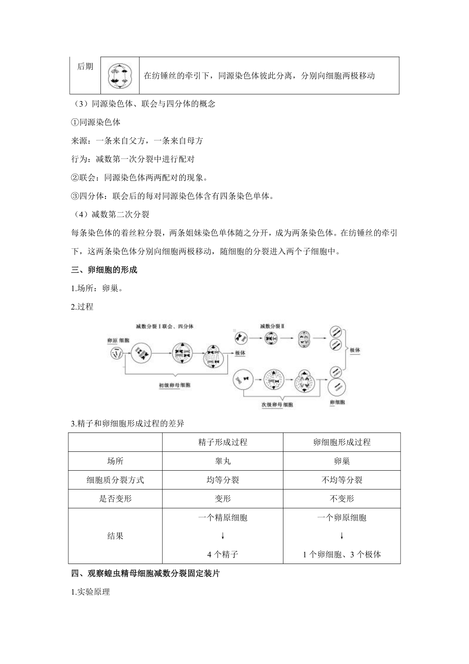 （2019新教材）人教版高中生物必修2期末复习重难点知识集锦+第2章+基因和染色体的关系（知识点）.doc_第2页