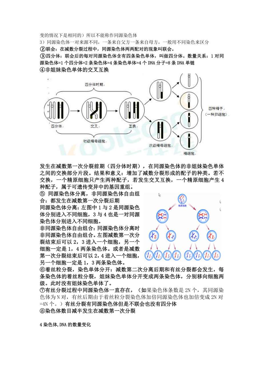 （2019新教材）人教版高中生物必修2减数分裂和受精作用笔记.doc_第3页