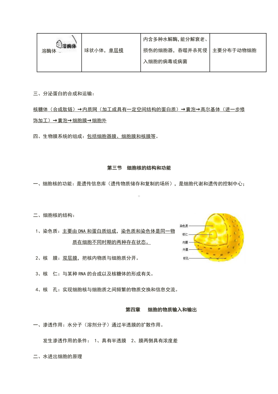 （2019新教材）人教版高中生物必修1第三章 细胞的基本结构 知识点期末复习 .docx_第3页