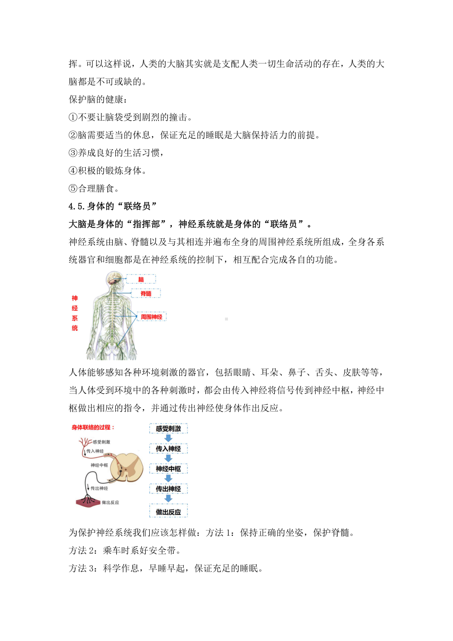 2021新教科版五年级上册科学第四单元知识点.docx_第3页