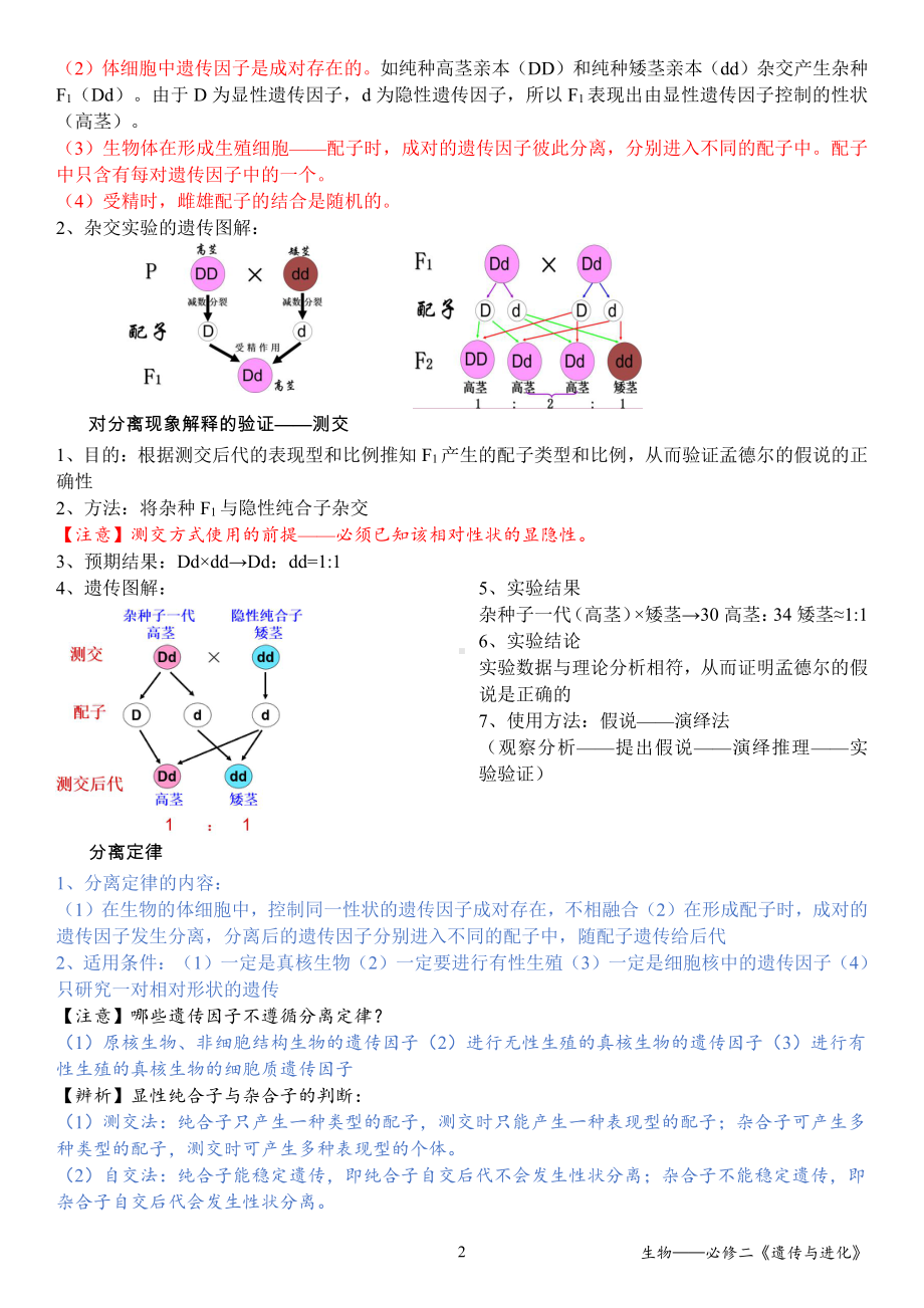 （2019新教材）人教版高中生物必修2《遗传与进化》基础知识点汇总（复习背诵）.docx_第2页