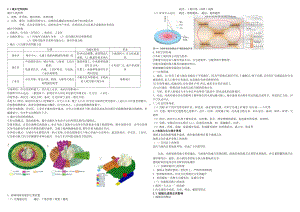 （2019新教材）湘教版高中地理必修第二册第二章 城镇与乡村（期中复习）知识点总结.docx