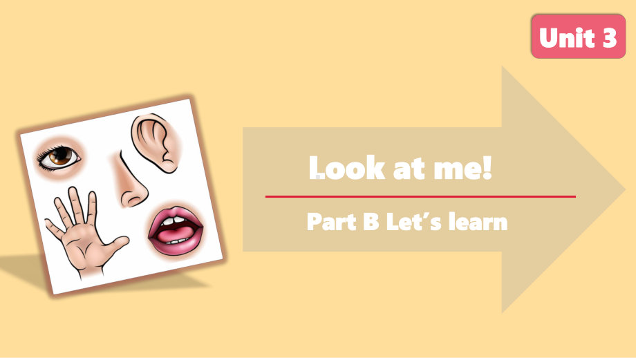 人教PEP英语三年级上册-Unit 3 Look at me!B Let’s learn.pptx_第1页