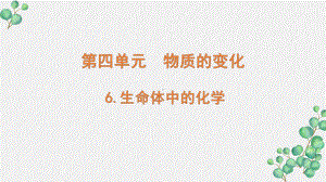 新教科版2022六年级科学下册4-6《生命体中的化学》PPT课件.pptx