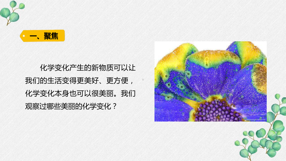 新教科版2022六年级科学下册4-7《美丽的化学变化》PPT课件.pptx_第2页