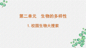 新教科版2022六年级科学下册第二单元《生物的多样性》全部课件（共7课）.pptx