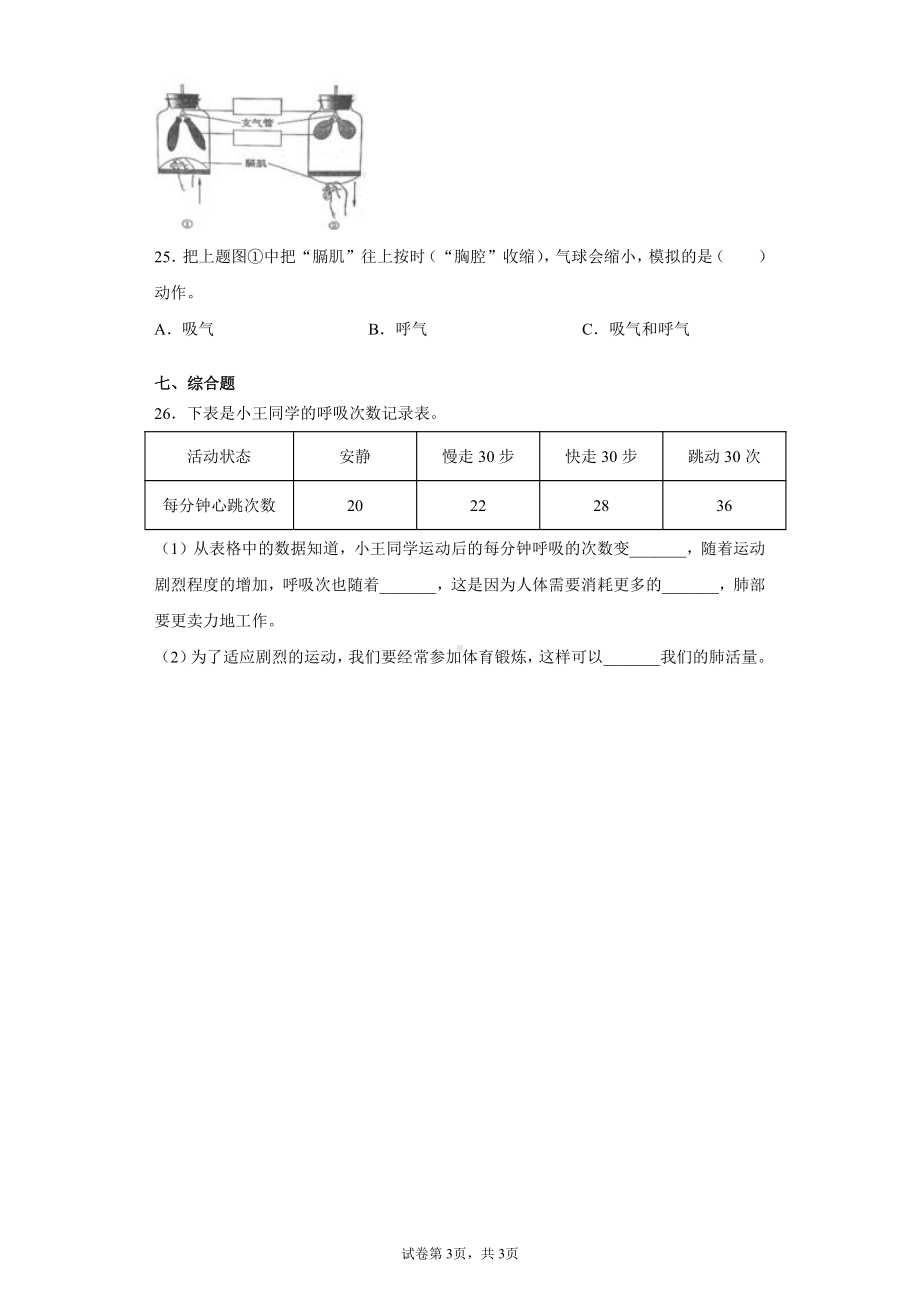 2021新教科版四年级上册科学第二单元达标检测题（呼吸与消化）（含答案）.docx_第3页