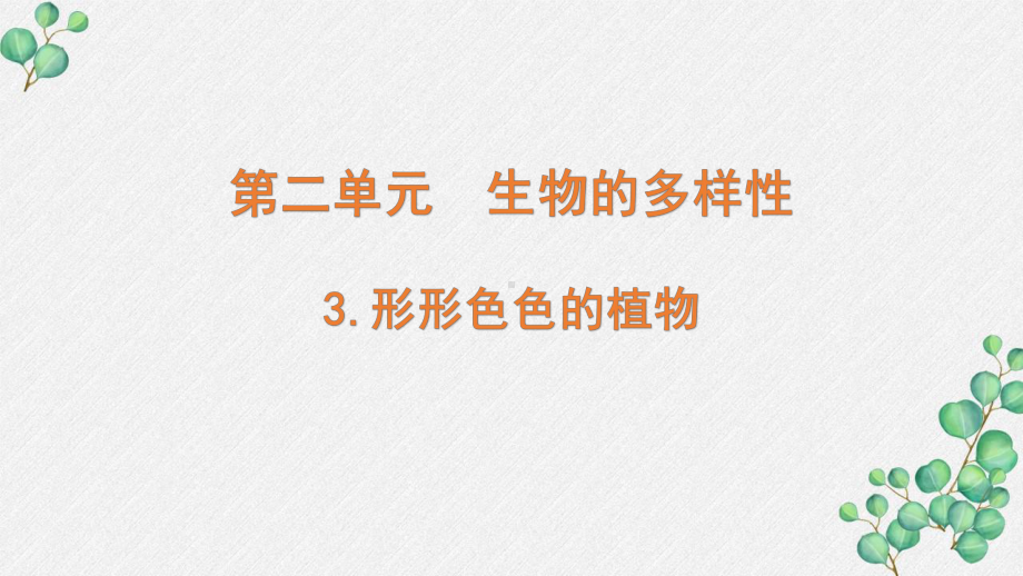 新教科版2022六年级科学下册2-3《形形色色的植物》PPT课件.pptx_第1页