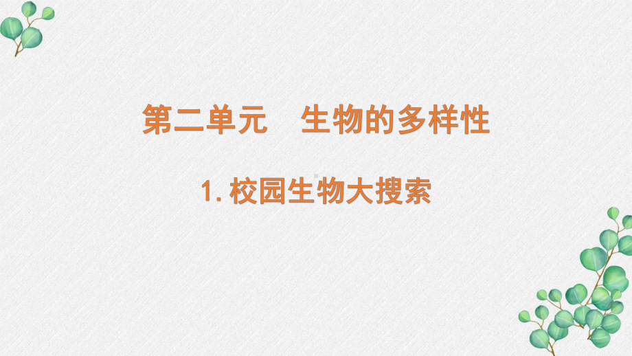 新教科版2022六年级科学下册2-1 《校园生物大搜索》PPT课件.pptx_第1页